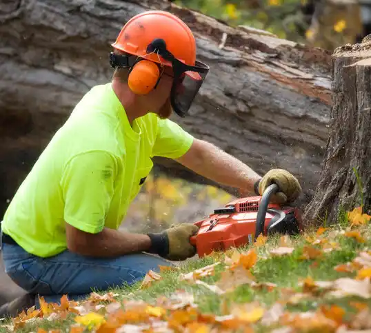 tree services Vernon Center